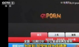 91先生直播视频,精彩瞬间与幕后故事